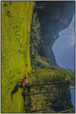Naturfotografie # Landschaftsfotografie # Roland Valter # Fotograf # Aachen # rolva