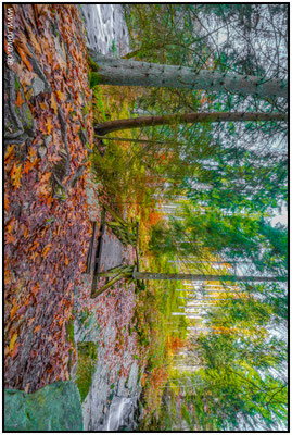 Naturfotografie # Landschaftsfotografie # Roland Valter # Fotograf # Aachen # rolva