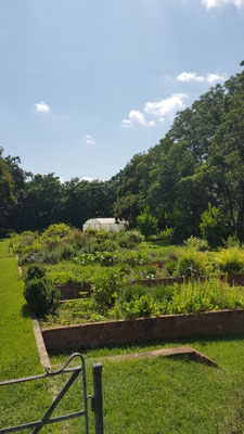 Hauseigener Gemüse-und Krätergarten