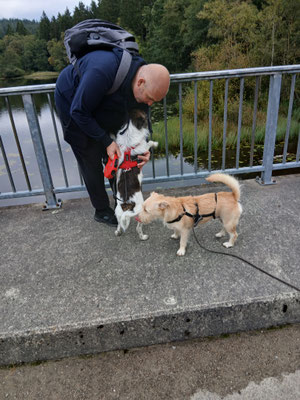 26.09.2025: Milo und Lila sind 7 km gelaufen. Dreiprägetalsperre in Roetgen 