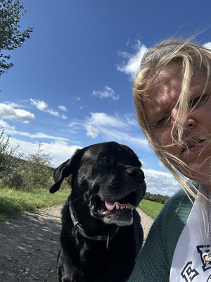 27.09.2024: Tyson, (9 J) ist 4,3km gelaufen und war in Wald und Feld rund um Türnich unterwegs.