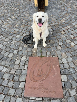 29.09.2025: Luna ist 5km gelaufen. Runde durch das Marienfeld - inklusive Papsthügel