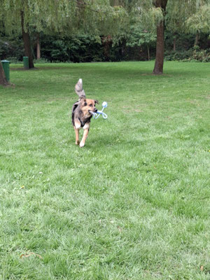 Ein neues Spielzeug von unserem Stand.