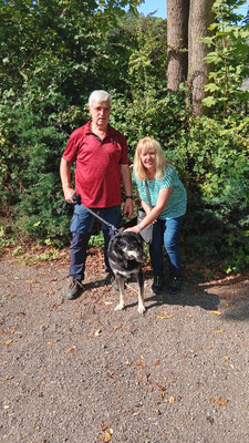 05.09.2024: Mika (4J) 10,05km rund um den Laacher See