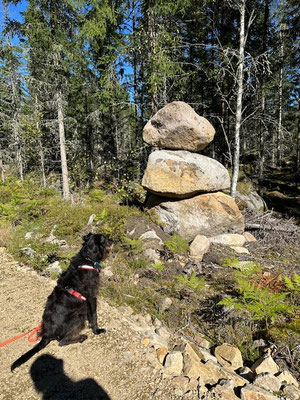 14.09.2024: Uno (5J) hat in Schweden eine um den Stora Mellsjön bis zum Norrasjön gedreht. 6km.