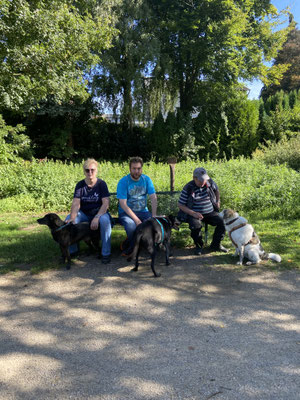 13.09.2025: Arni, Bibi und Sawa sind die alte DogWalk Strecke gelaufen und haben 9 km zurückgelegt.