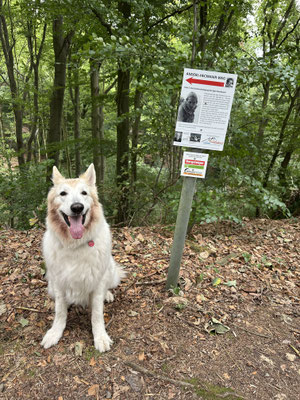 18.09.2025: Falco ist 8,19km gelaufen. Von einem Wanderparkplatz über den Anderl-Heckmair-Weg zum Bergerhof in Hattingen und wieder zurück.