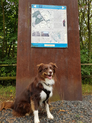 24.03.2022: Herr Schoki- Marienfeld Kerpen, Wander-Runde um den Boisdorfer See -  4,3 km