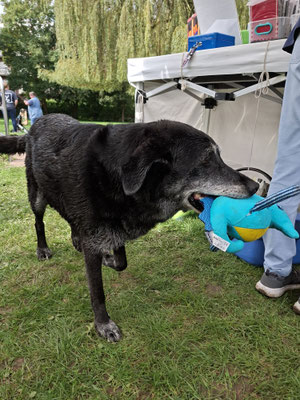 Sie wollte ihr Wasserspielzeug nur mal zeigen.