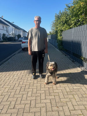 28.09.2025: Buffy ist 5 km gelaufen. In Troisdorf Moselstr. zur Sieg dann die Sieg entlang und den Willi Brand Ring zurück