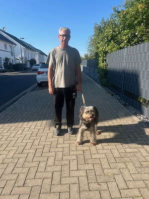 28.09.2025: Buffy ist 5 km gelaufen. In Troisdorf Moselstr. zur Sieg dann die Sieg entlang und den Willi Brand Ring zurück