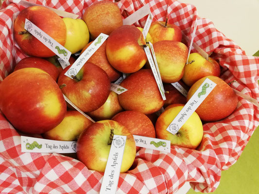 Projekt "Tag des Apfels" 2019   ©OGV Alpbachtal