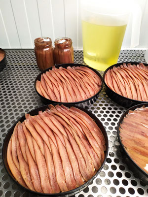 Tarrina black de  Anchoas bolado en aceite de oliva