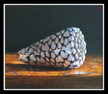 "Rembrandtmuschel" 14x17cm, Öl/Malplatte, 2020 - VERKAUFT