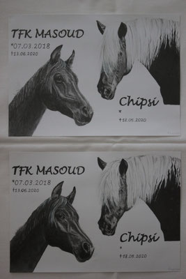 Doppelportrait Ausfertigung 2x Bleistift/Kohle auf je Din A4
