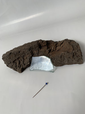 ants' mirror
