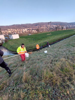  Abfischen Hinterwasserkanal Full Dezember 2021. (Foto F. Mangold)