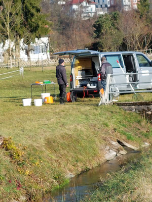  Abfischen Hinterwasserkanal Full Dezember 2021. (Foto F. Mangold)