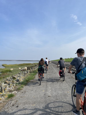 Geologische Fahrradtour (Foto:Watt°N, 2024)