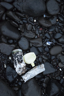 beach clean, East Fjords, Iceland