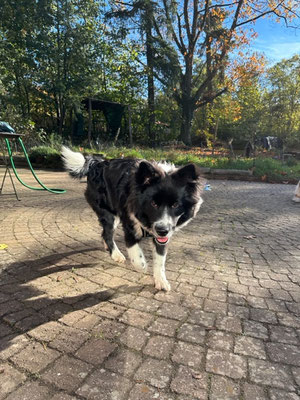 Mila hat uns besucht: 01.11.2022