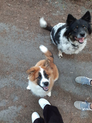 Kira und Mama Karo am 22.07.2021