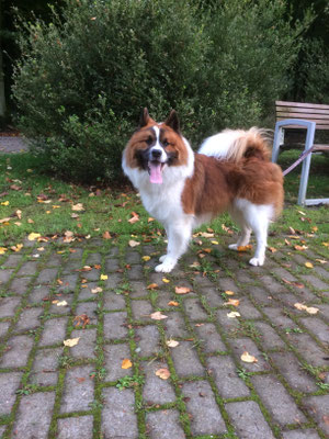 Aiko am 05.10.2019