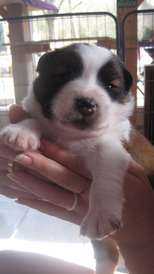 Bella, 01.04.2021