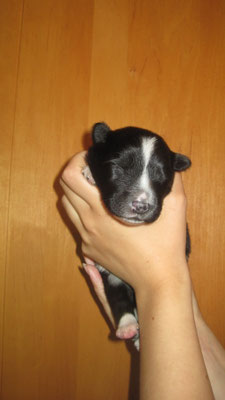 Cooper am 15.05.2022