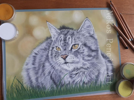 Mauzi - Oktober 2020 30x40cm auf Pastelmat unverkäuflich
