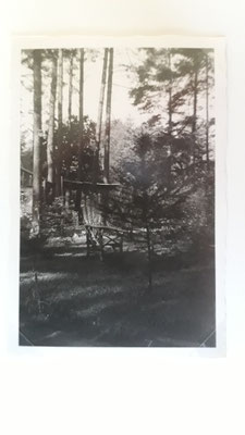Bild 2: Waldhaus Barbara vor 1960, Garten