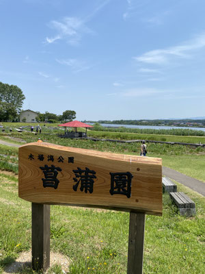 遠かった花菖蒲園(@_@)