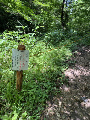 滝ケ原町鞍掛山を愛する会の方達による新しいロープ！気を付けよう‼