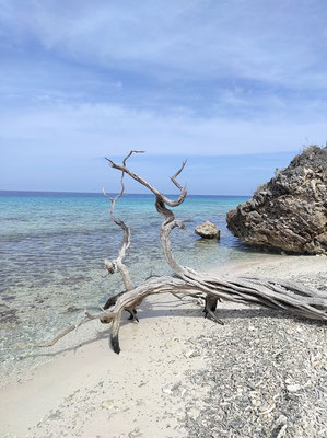 Einsamer Privatstrand mit Picknick auf Curacao-3