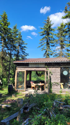 mitten im Waldgarten