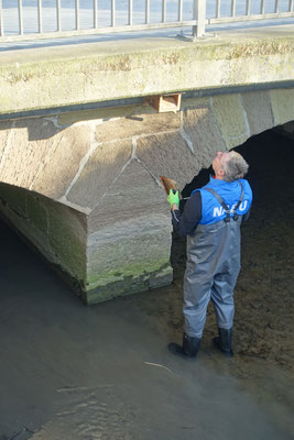 unter Rankbachbrücke Foto: NABU/I.Bücker