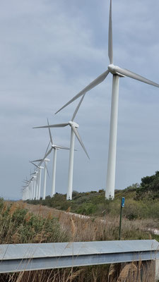 Viele erfolgreiche Windkraftanlagen
