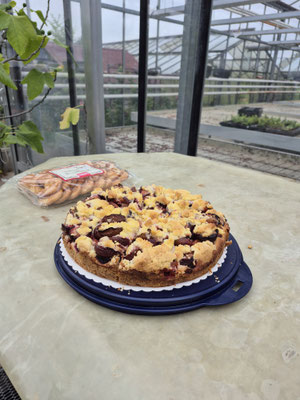 Pflaumenkuchen von Henning