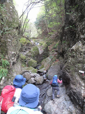 棒ノ折山・白谷沢の渓谷を登る1