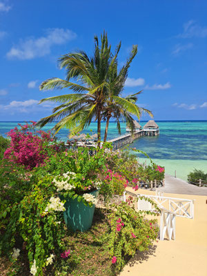 Jetty Lounge at Melia  Zanzibar Hotel 