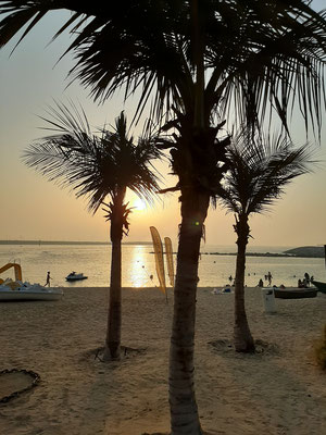 Palm Trees Mare Beach