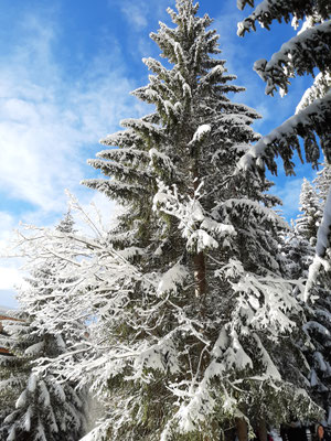 Lenzerheide - Switzerland