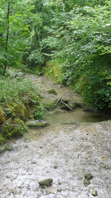 Elefantenbach