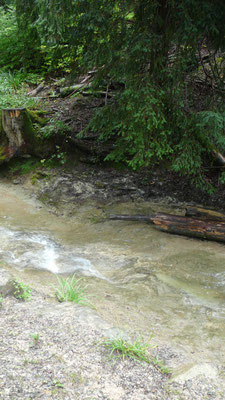 Elefantenbach
