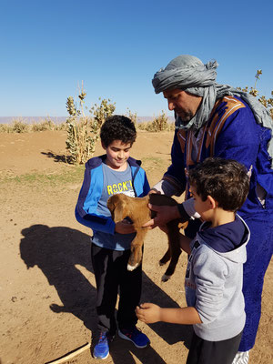 desierto de Marruecos con niños