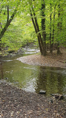 Wanderung zur Burg