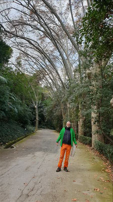 Im historischn botanischen Garten