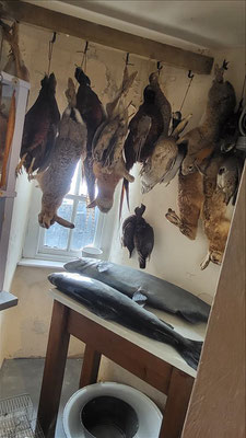 kitchen vom Castle