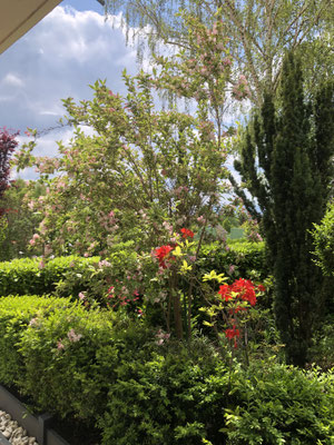 Jardin des chambres d'hôtes proches de Clermont-Ferrand