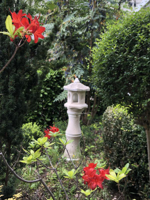Jardin des chambres d'hôtes proches de Clermont-Ferrand